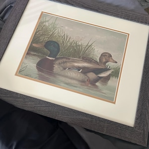 Brooke added a photo of their purchase