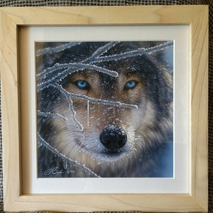 Peg added a photo of their purchase