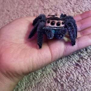 Dr added a photo of their purchase