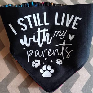 Judy added a photo of their purchase