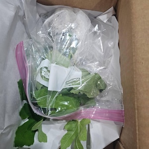 Less added a photo of their purchase