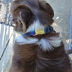 Tammie added a photo of their purchase