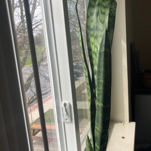 Emma added a photo of their purchase