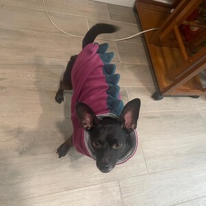 Dinosaurier-Hundekleidung Aus Fleece | Winter-Kapuzenpullover Mit Leinenring Für Kleine Hunde & Katzen