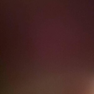 mary added a photo of their purchase