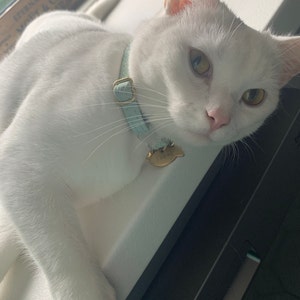Compte inactif a ajouté une photo de son achat