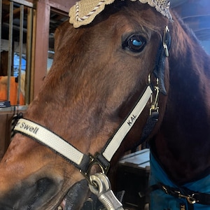 Kat ha añadido una foto de su compra