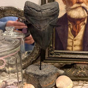 Alexis ha aggiunto una foto del proprio acquisto