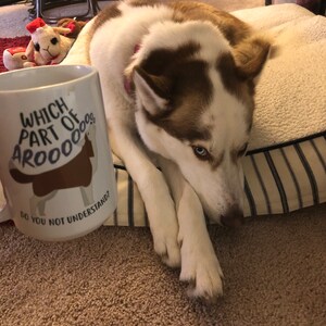 Mandy added a photo of their purchase