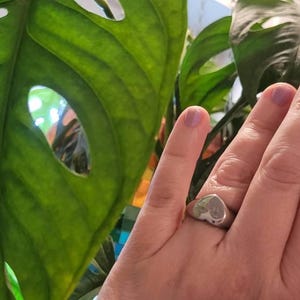Cornelia added a photo of their purchase