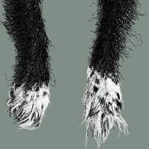 Kortni added a photo of their purchase