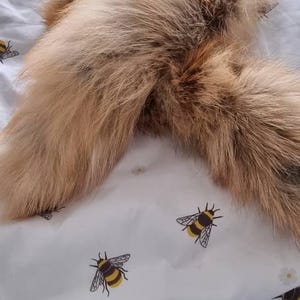 David added a photo of their purchase
