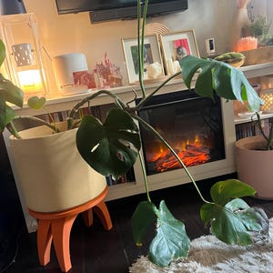 Katherine added a photo of their purchase