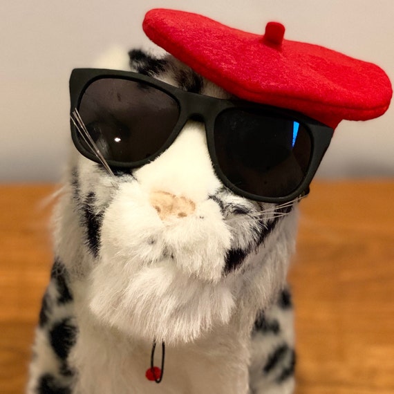 Customer photo of a pet with the Beret Personalized for small pet Raspberry
