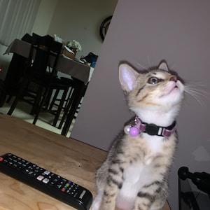 Yvonne added a photo of their purchase