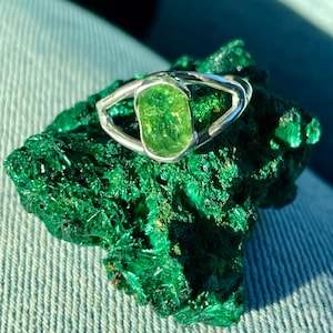 Sno added a photo of their purchase