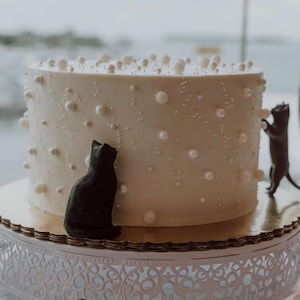 Torina heeft een foto van de aankoop toegevoegd