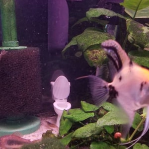 Ryan heeft een foto van de aankoop toegevoegd