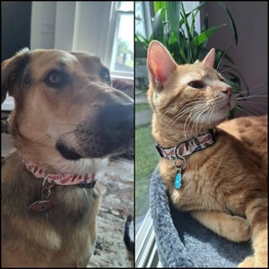 Ericka added a photo of their purchase