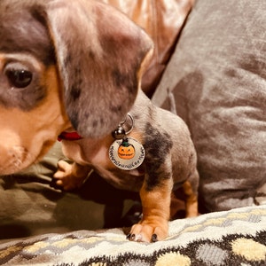 Vanessa added a photo of their purchase