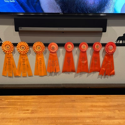 Showoff Ribbon Rack Barrel Racer - Etsy