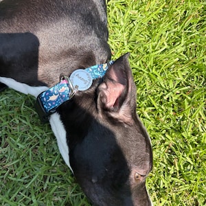 Mattie added a photo of their purchase