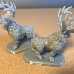 Mr. added a photo of their purchase