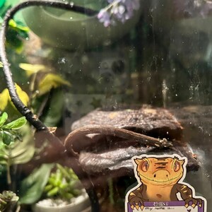 Victoria ha añadido una foto de su compra