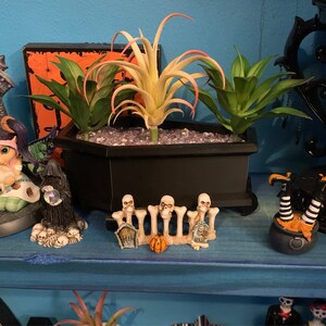 Elizabeth Krechel added a photo of their purchase