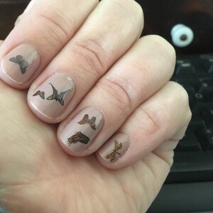 Natalie added a photo of their purchase