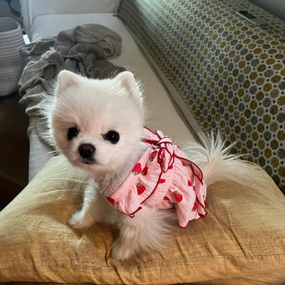 Naimal Wild Strawberry Long Dress main image 1