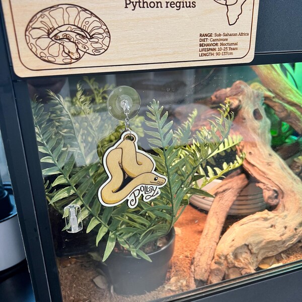 Custom Ball Python Enclosure Name Tag, Snake Name Tag, Enclosure Tag ...