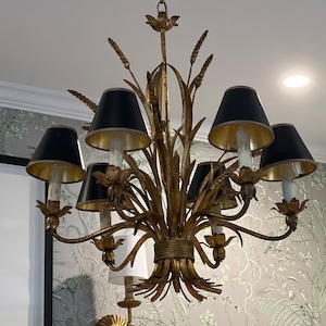 Patrick added a photo of their purchase