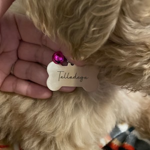 Ashley added a photo of their purchase