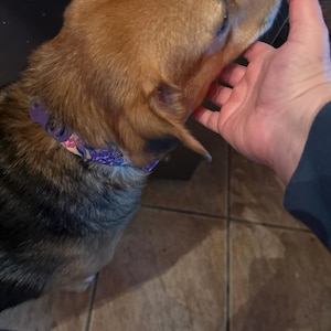 Trisha heeft een foto van de aankoop toegevoegd