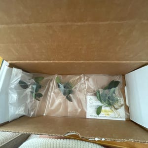 Acheteur Etsy a ajouté une photo de son achat