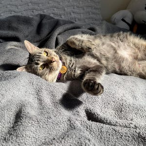 Eri added a photo of their purchase