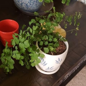 Maria ha añadido una foto de su compra