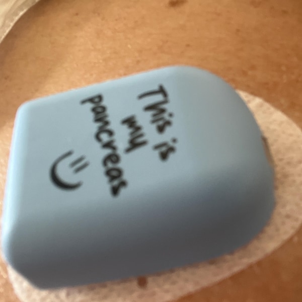 Omnipod Cover - Print - All New Designs Collection - Etsy