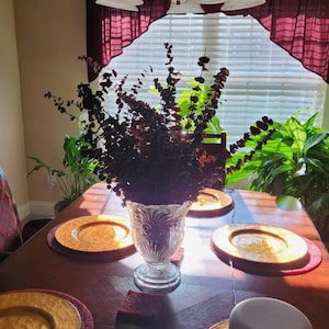 Carla added a photo of their purchase