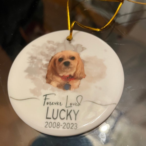 Personalized Pet Memorial Watercolor Ornament Using Pet's Photo + Name ...