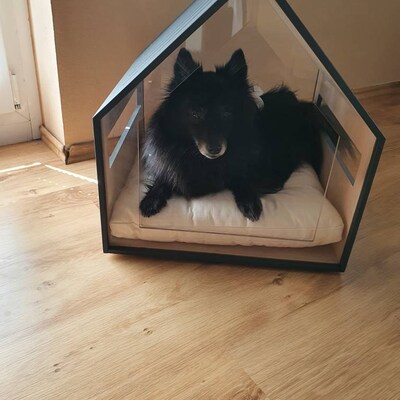 Modern Dog and Cat House With Transparent Sides Petso. Dog Bed, Cat Bed