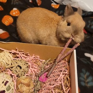 Callie added a photo of their purchase