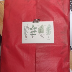 Fnny added a photo of their purchase