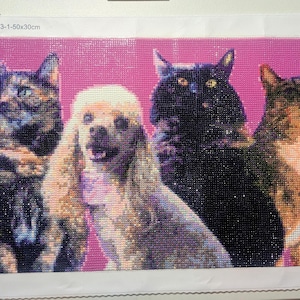 Rowan added a photo of their purchase