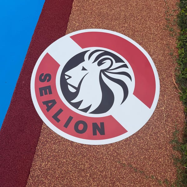 Custom Pool Mat: Removable Underwater Monogram, Logo Decoration - Etsy