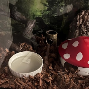 brookelynn added a photo of their purchase