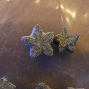pierre added a photo of their purchase