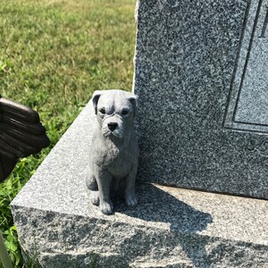 Poodle Statue Toy Dog Concrete Figure Cement Garden Decor | Etsy