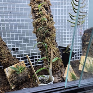 Marcquis added a photo of their purchase